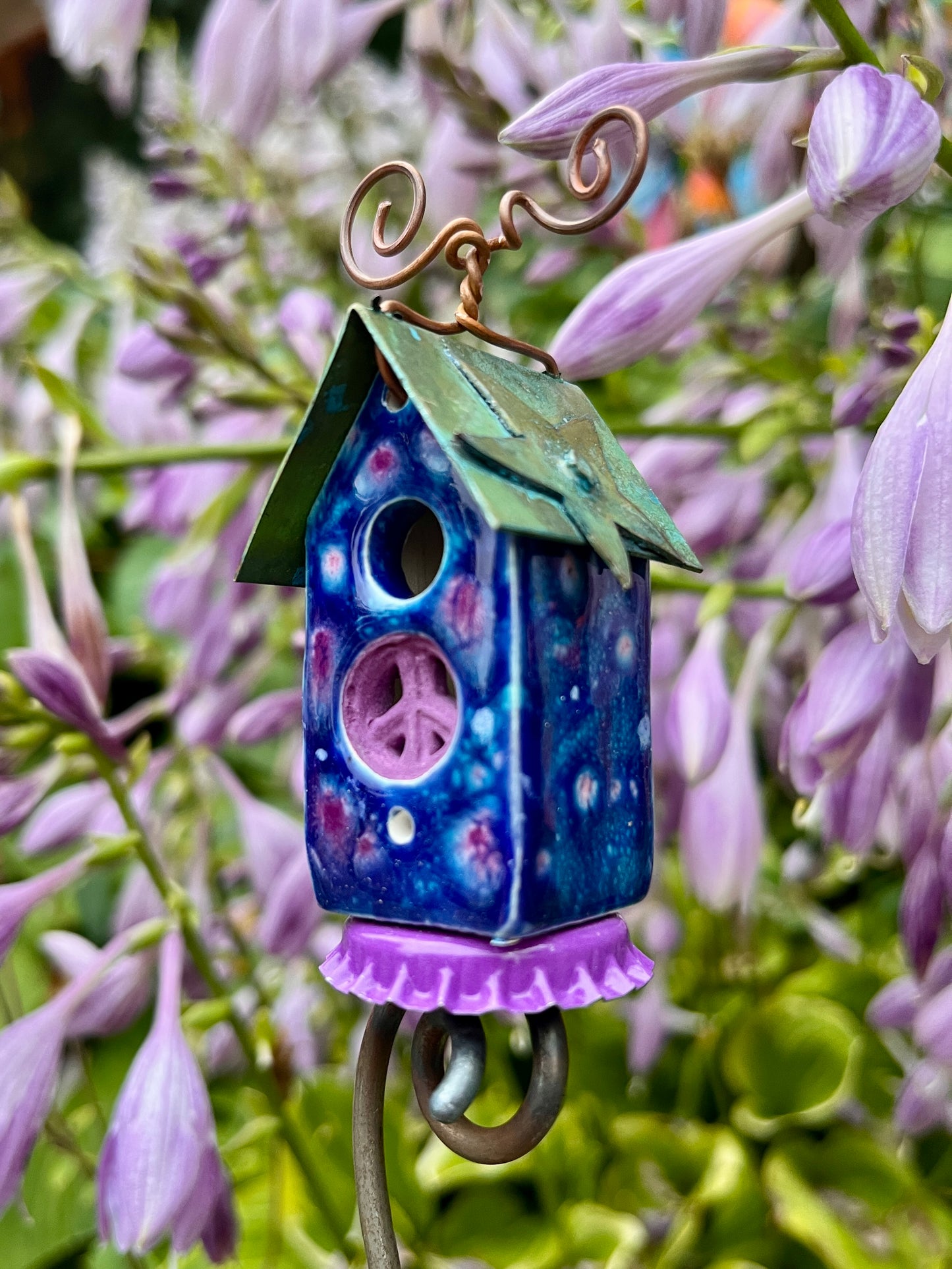 Celestial Carton