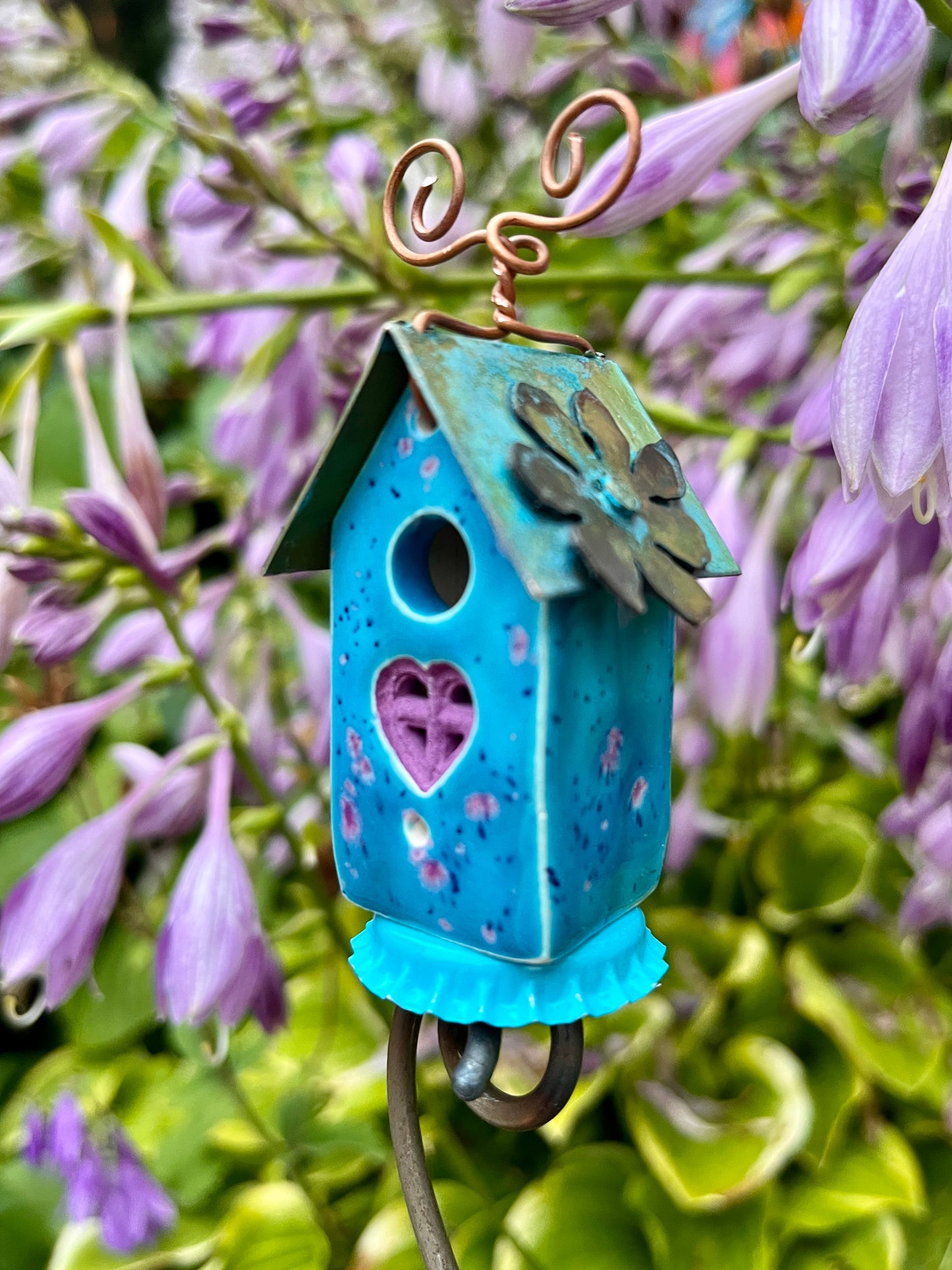 Faerie Colored Carton