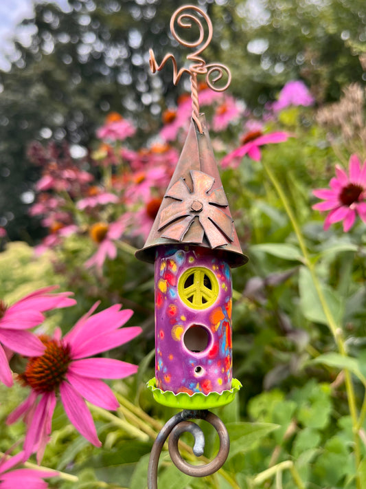 Purple Confetti Sprout