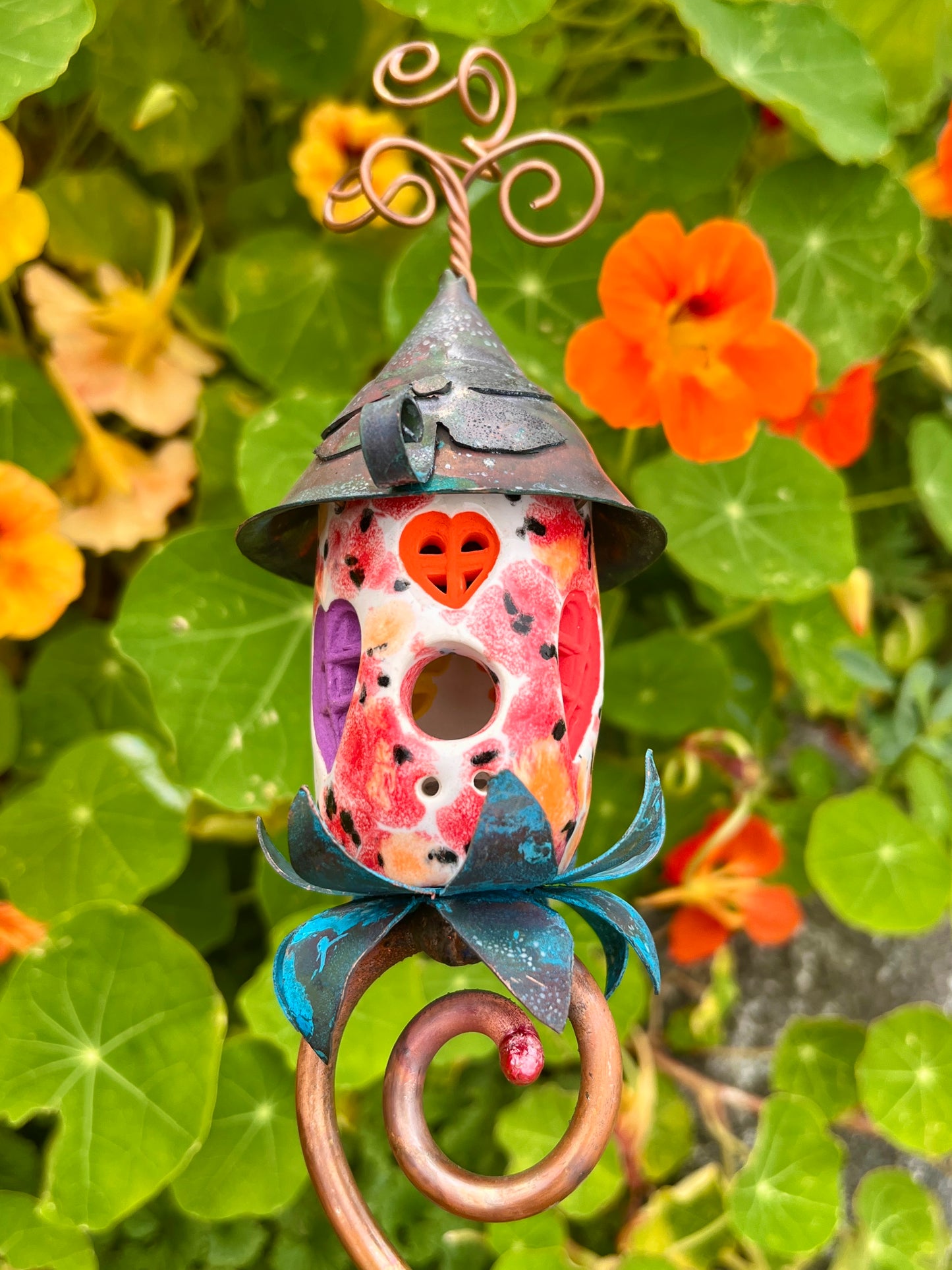 Poppy Tomato