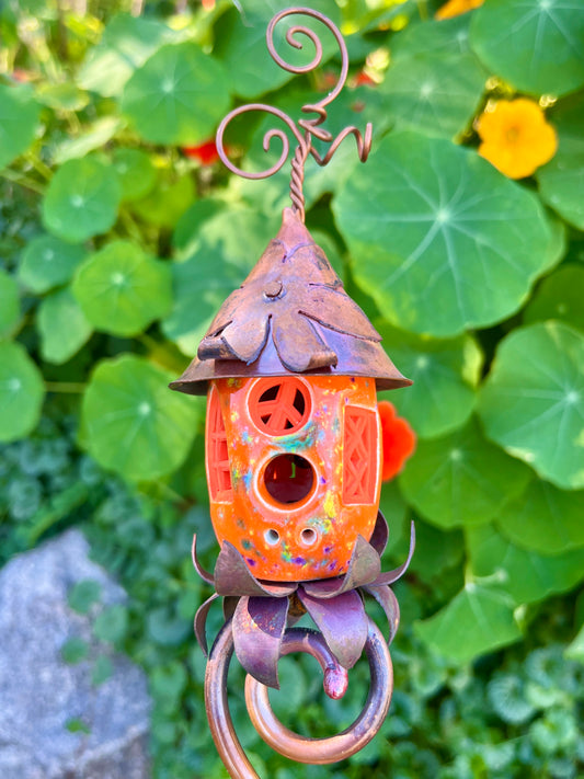 Orange on Orange Tomato