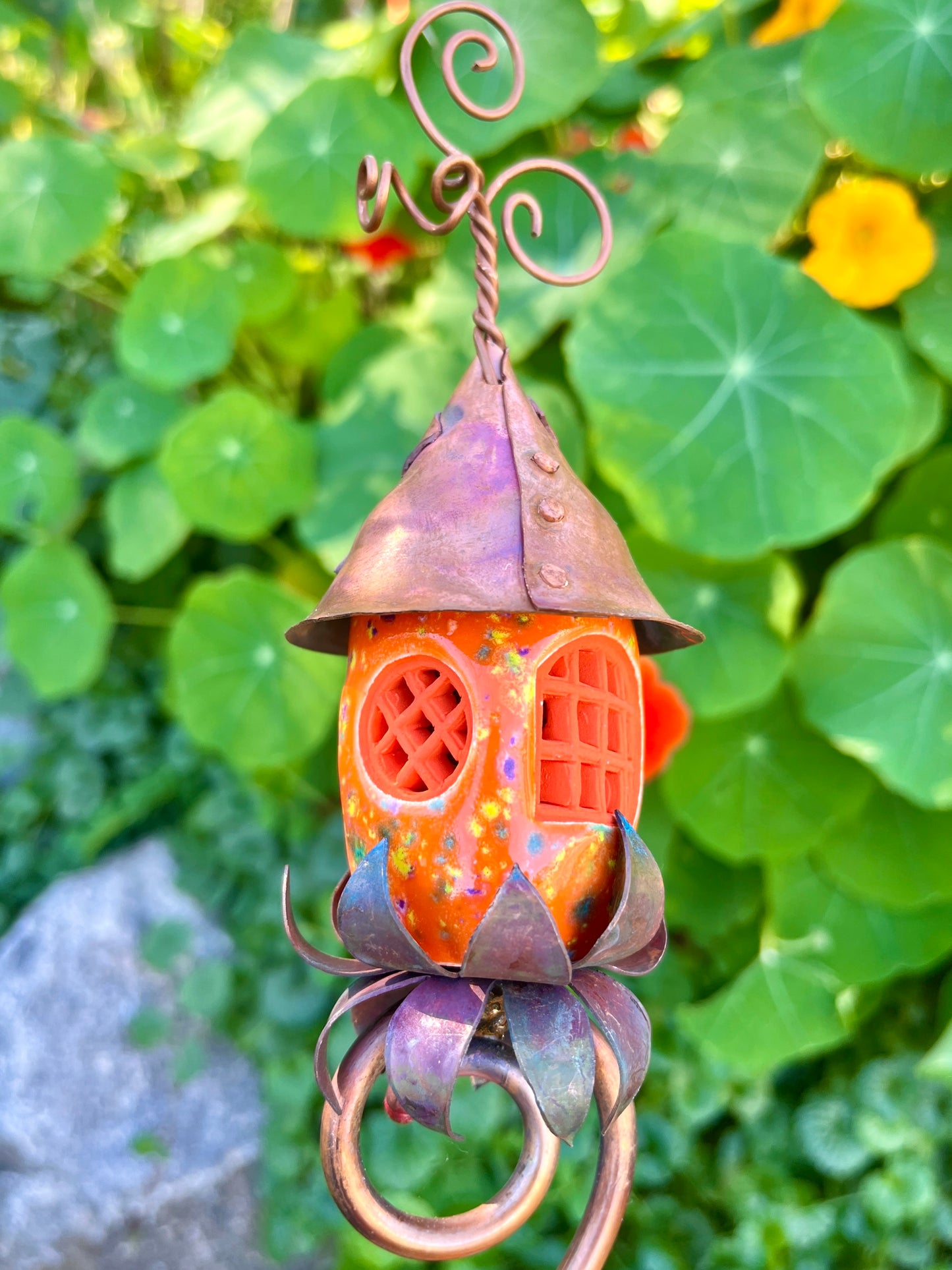 Orange on Orange Tomato