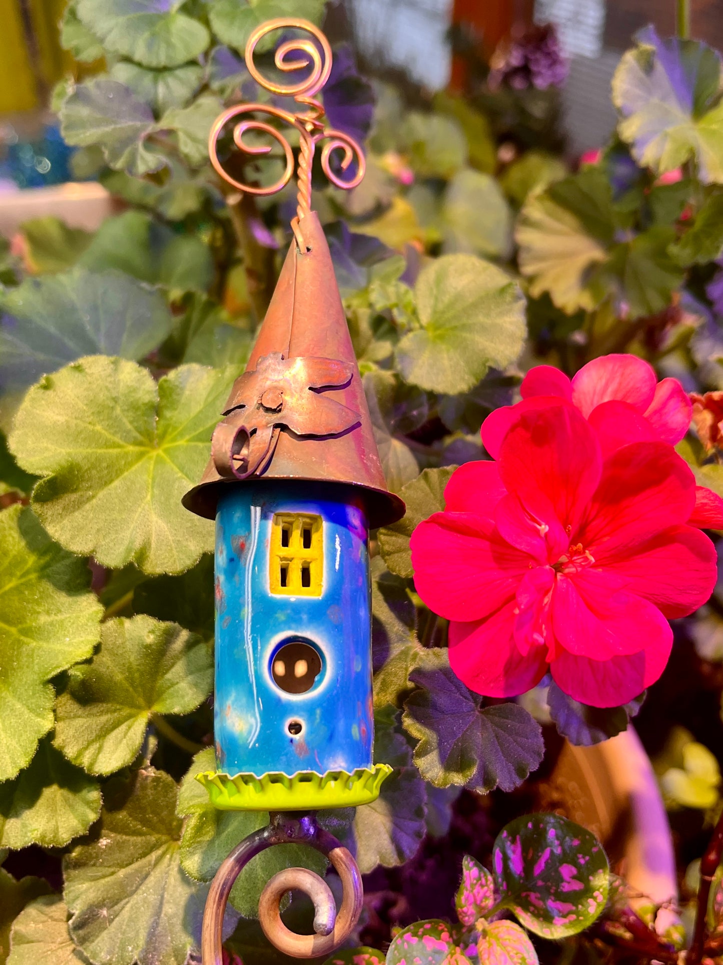 Caribbean and Lime Sprout