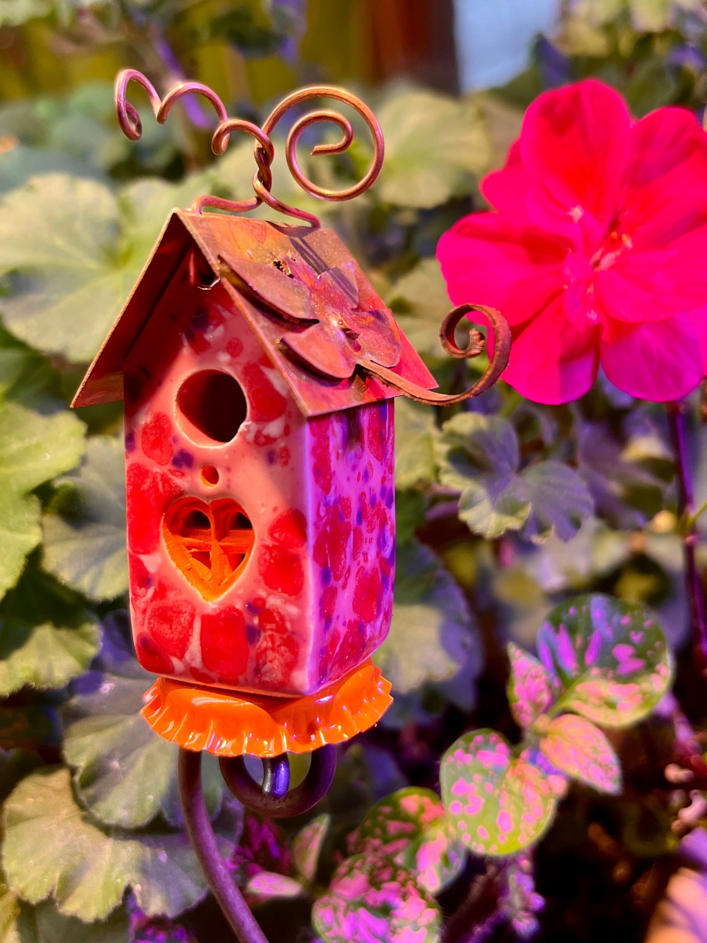 Raspberry Bricked Carton