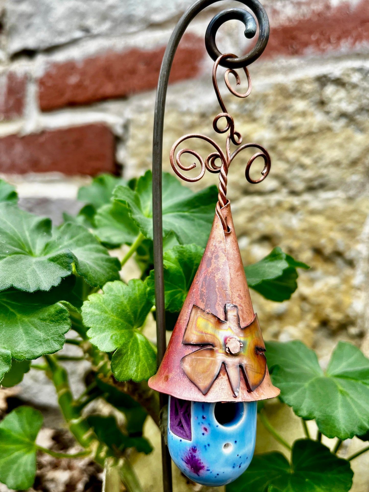 Baby Blue Wizard Dew Drop