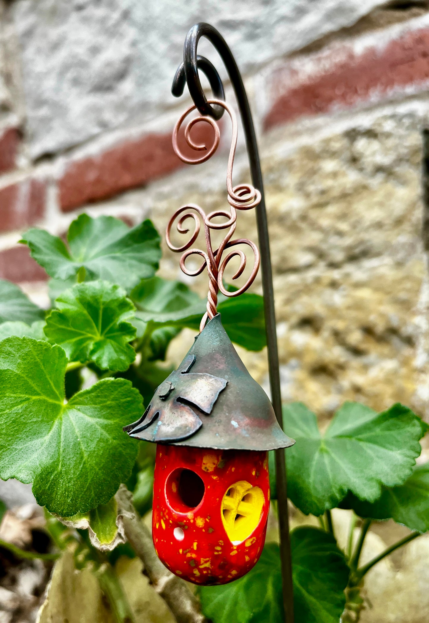 Firecracker Dew Drop