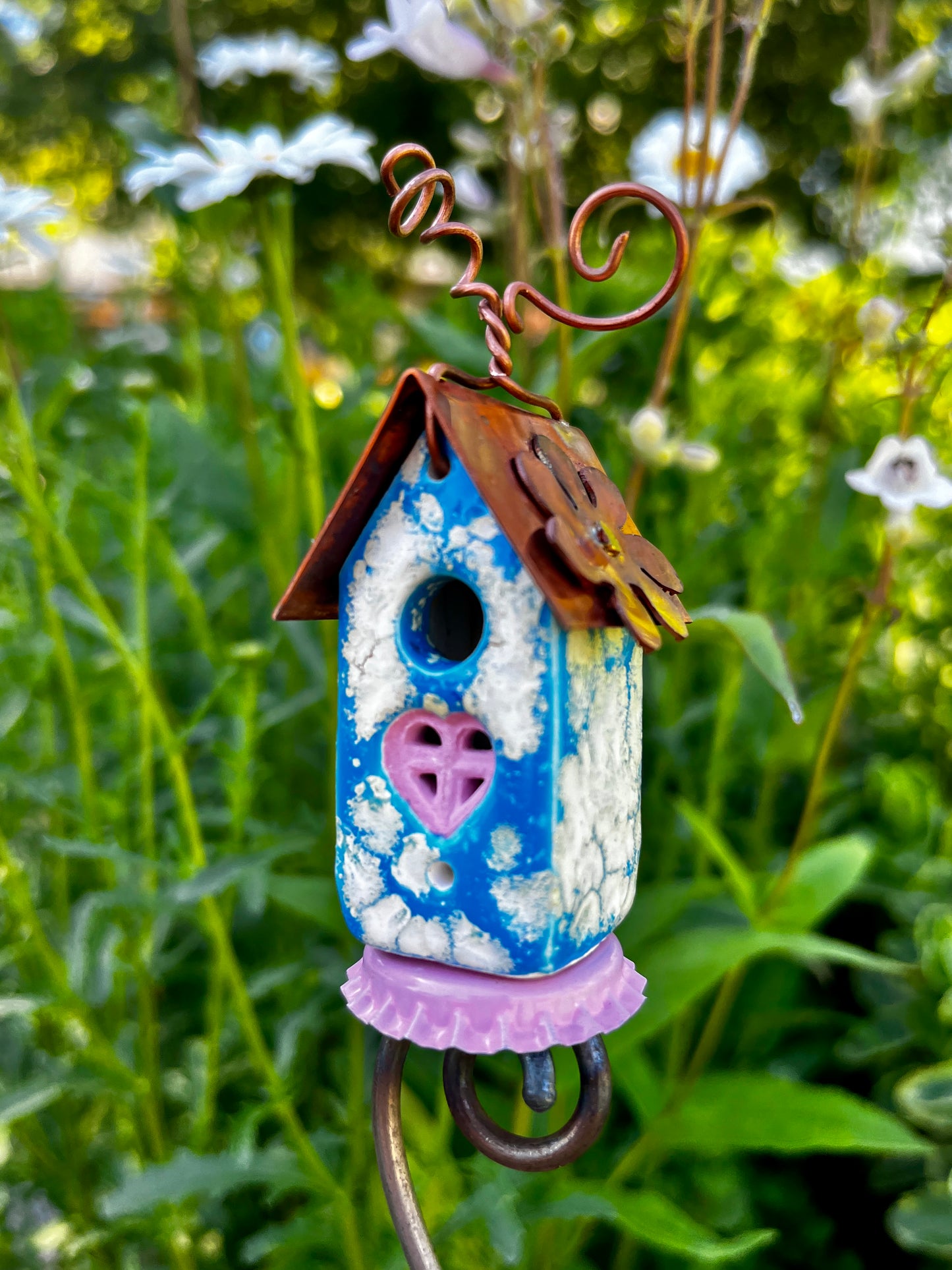 Blue Sky Carton