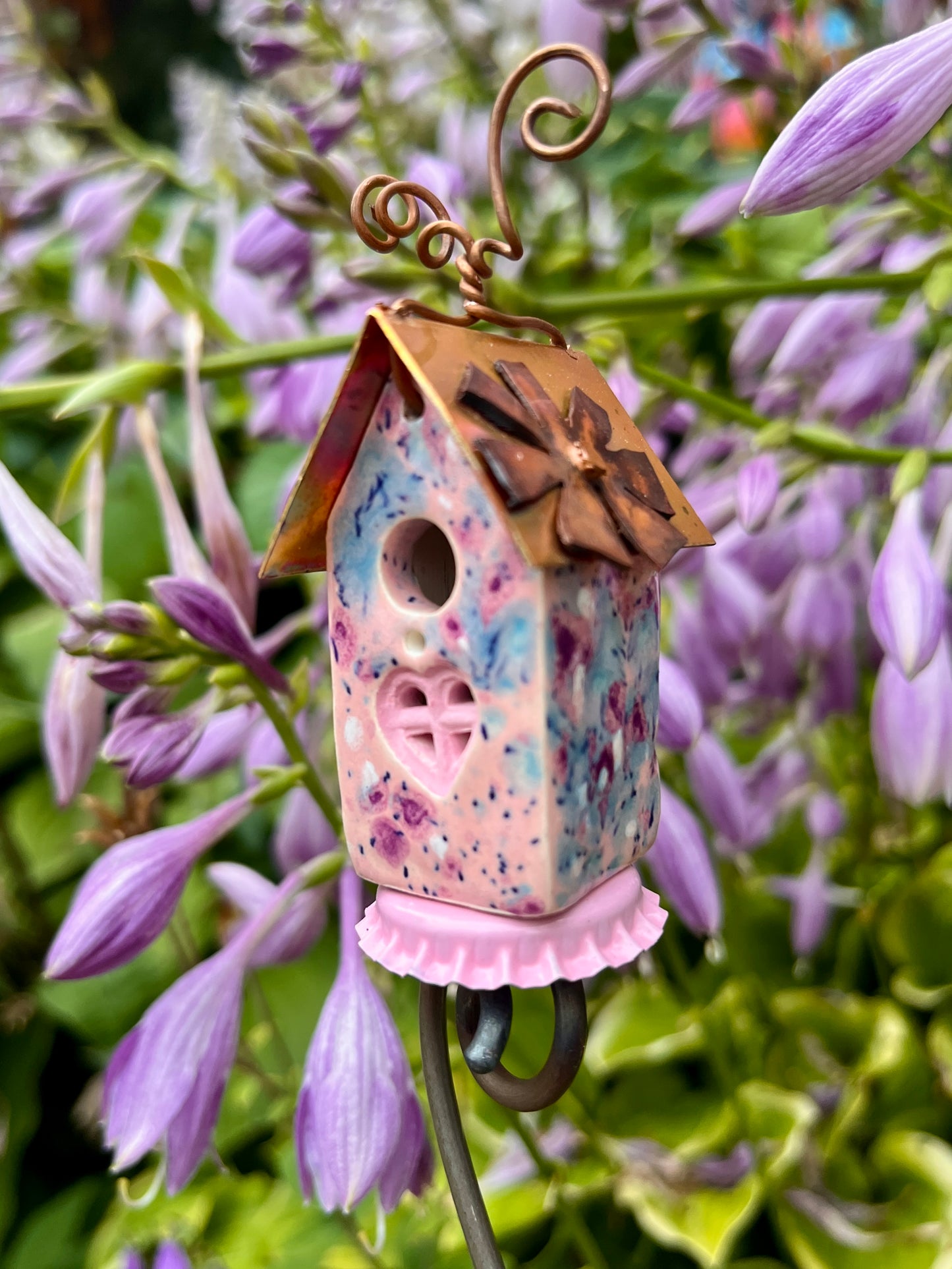 Pixie Pink Carton