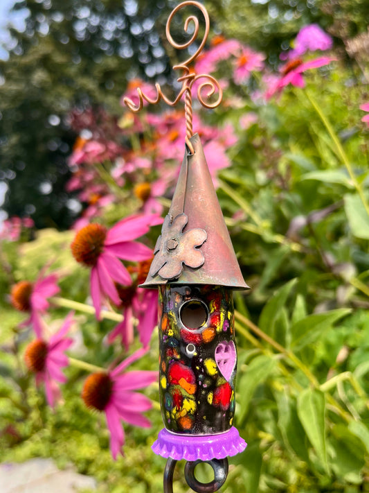 Night Garden Sprout