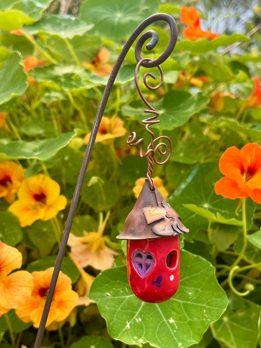 Geranium Dew Drop