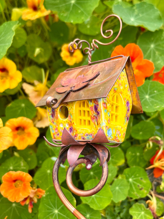 Sunny Yellow Cottage