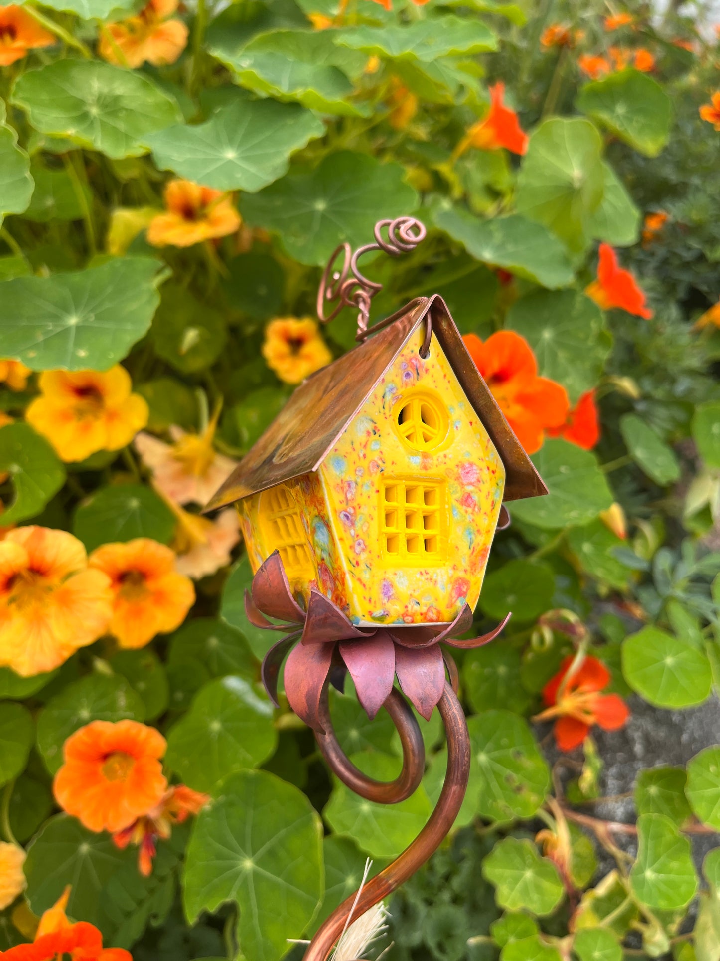 Sunny Yellow Cottage