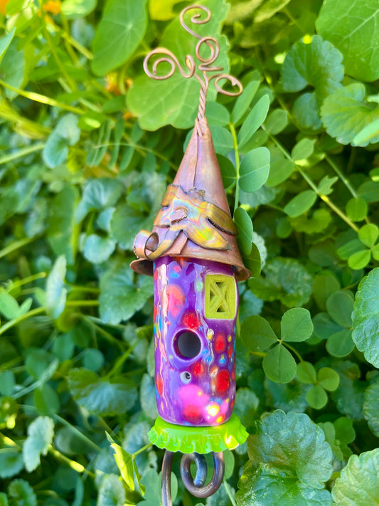 Purple Confetti Sprout