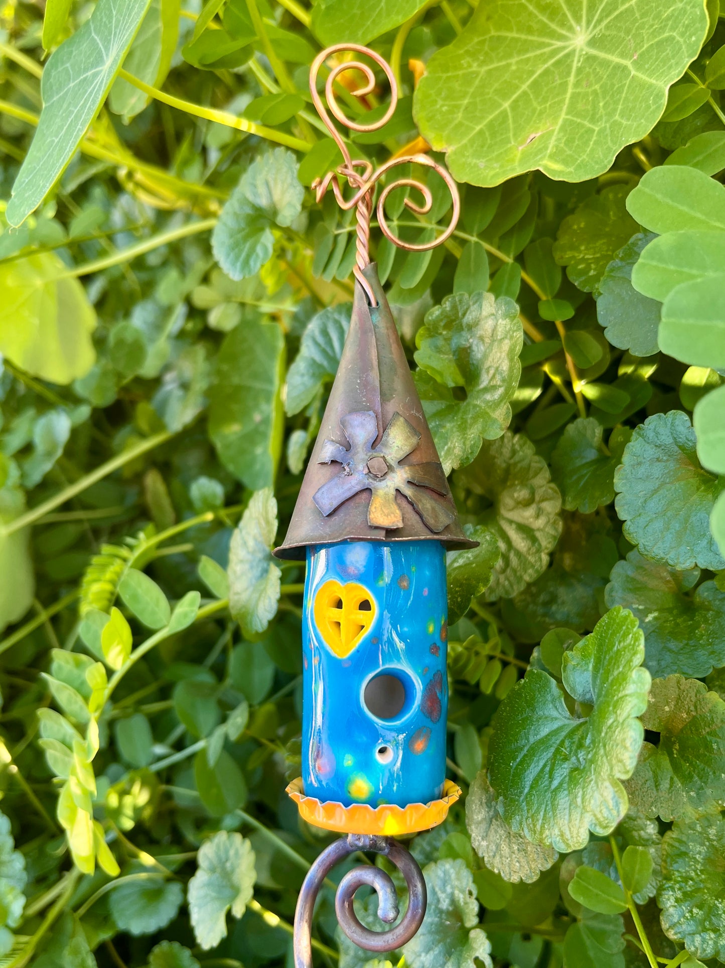 Faerie Colored Sprout