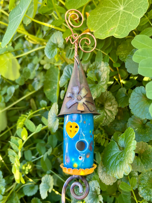 Faerie Colored Sprout