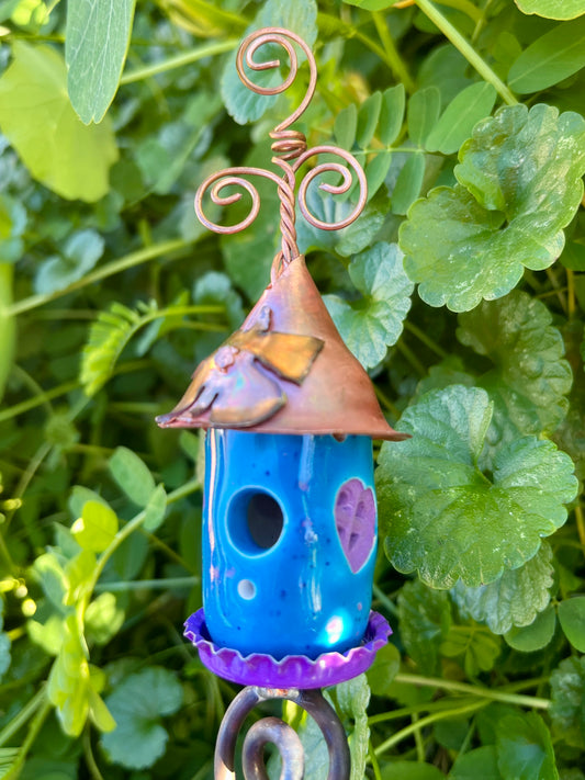 Faerie Colored Bud
