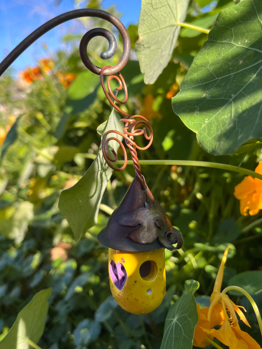 Sunny Yellow Dew Drop