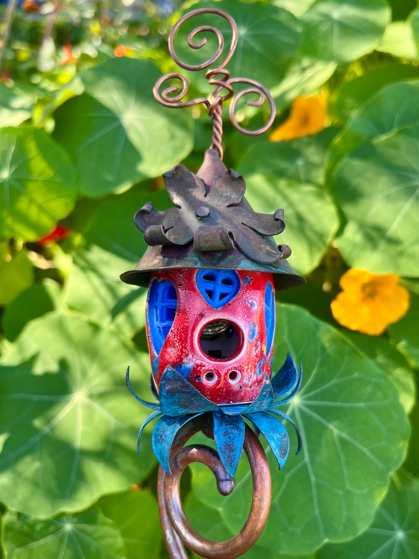 Red, White and Blue Tomato