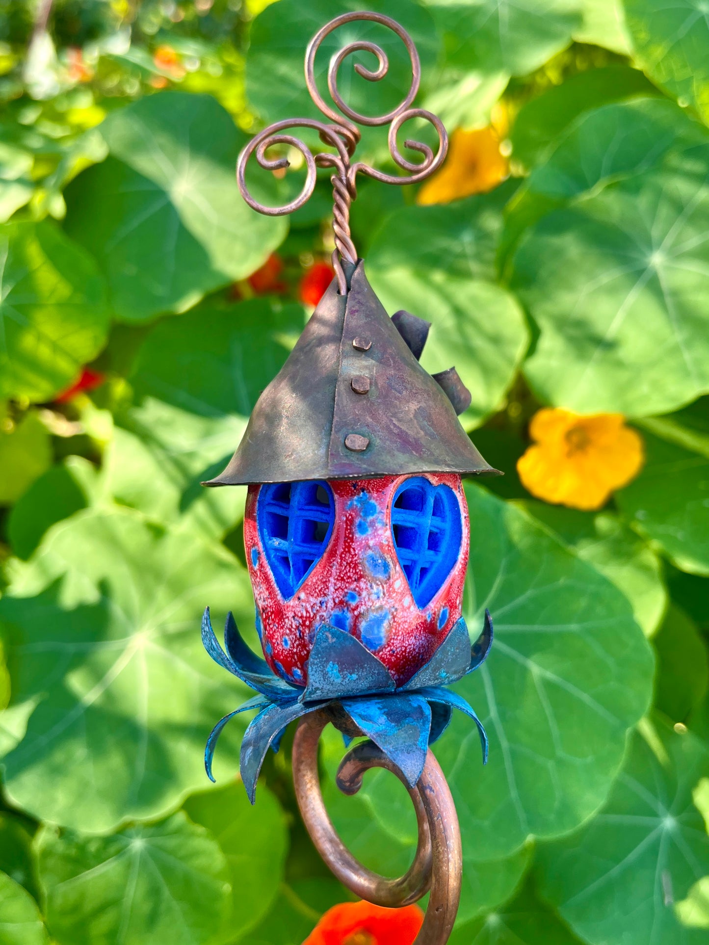 Red, White and Blue Tomato