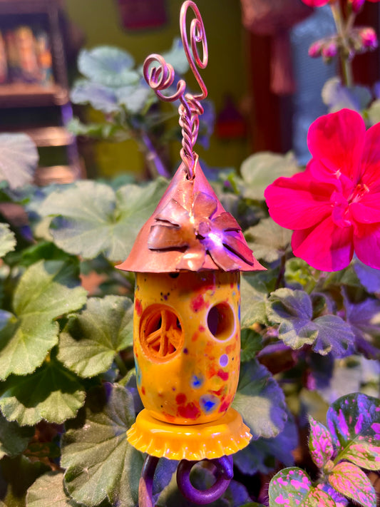 Sweet Little Mango Bud