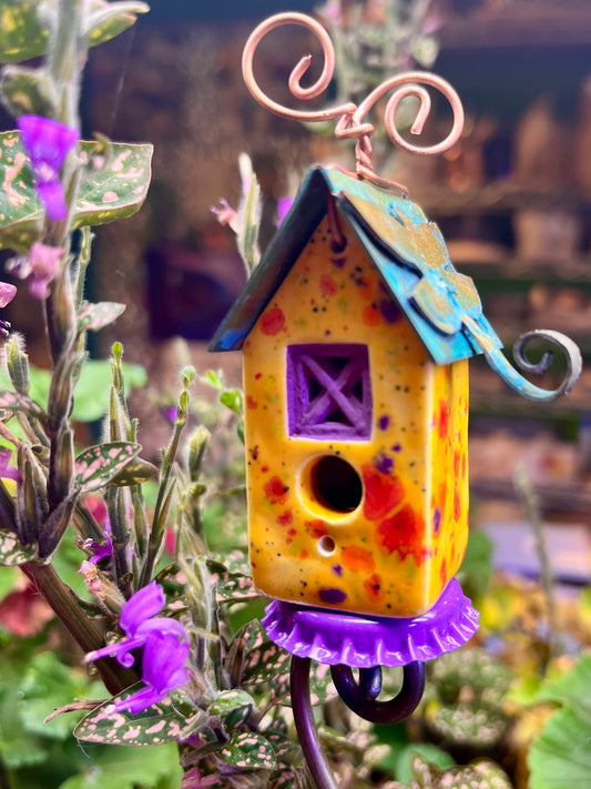 Mango Confetti Carton