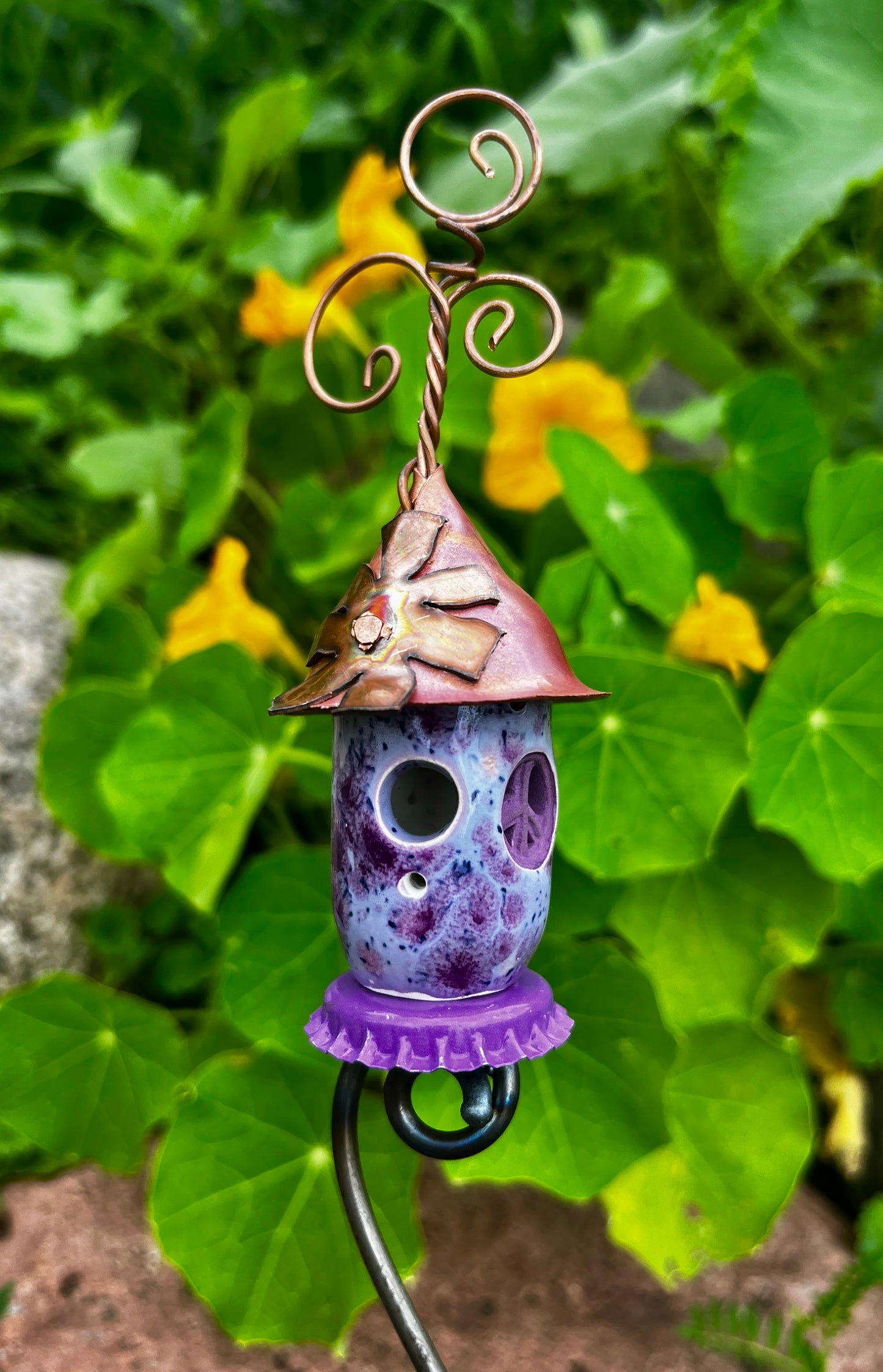 Purple Feather Bud