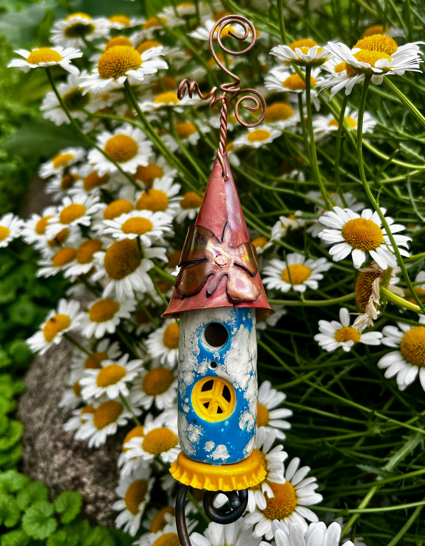 Blue Sky Sprout