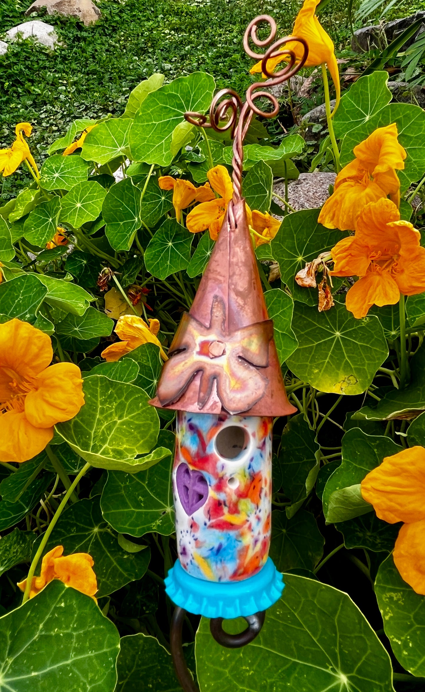Fireworks Sprout